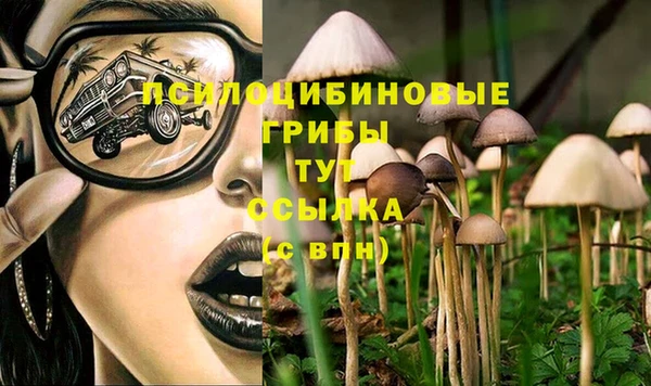 крисы Алексин