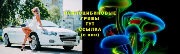 крисы Алексин