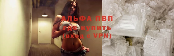 крисы Алексин