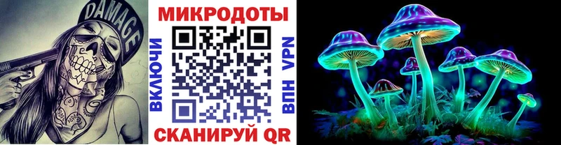 Галлюциногенные грибы Psilocybine cubensis  Клин 